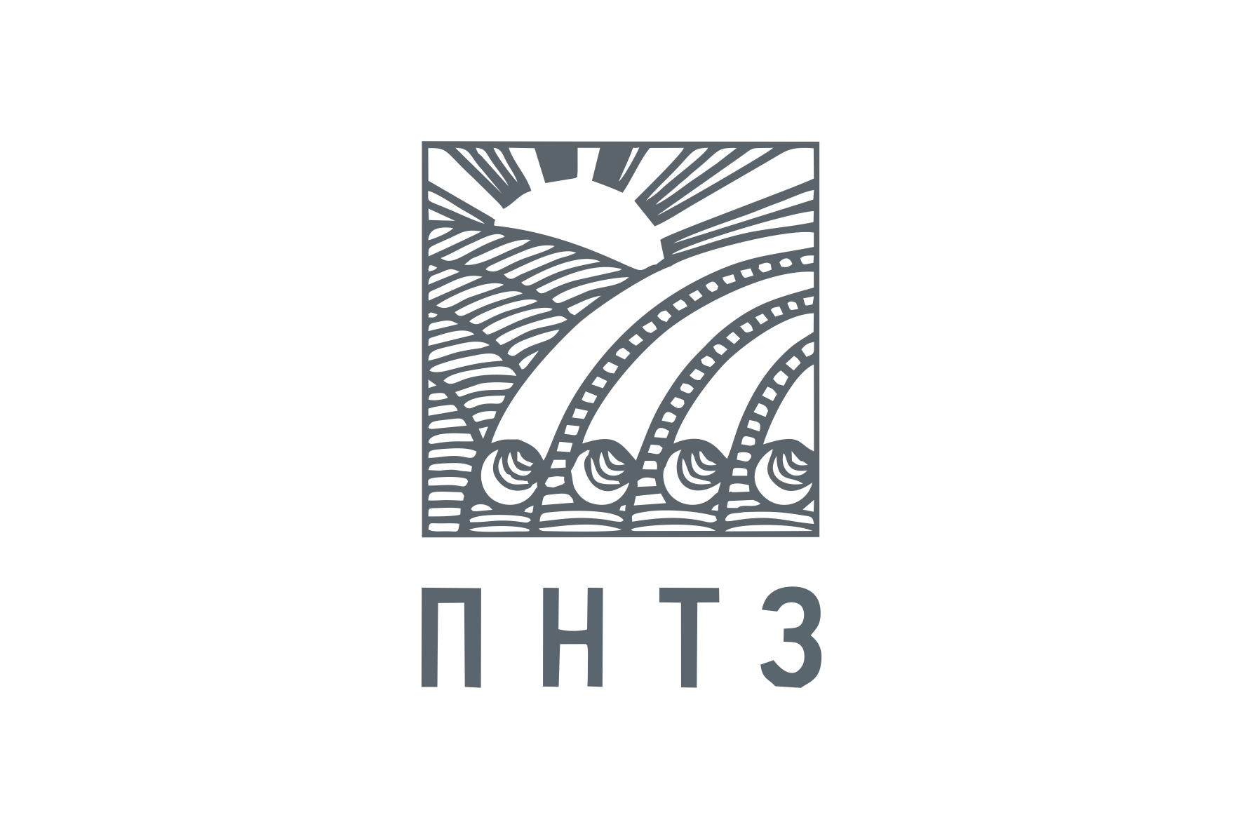 Чистая страна
